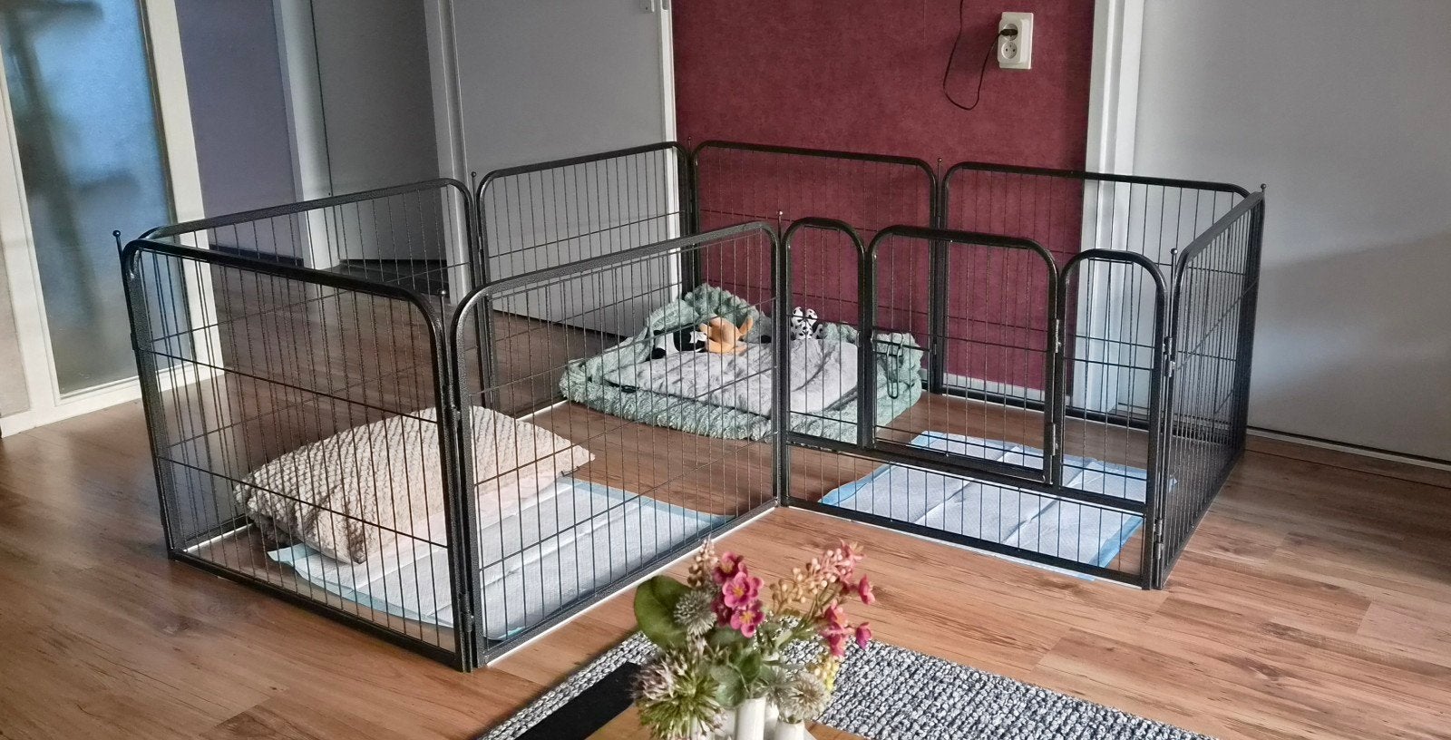 kamer kennel puppy, Ophalen, 110 cm of meer, 100 cm of meer