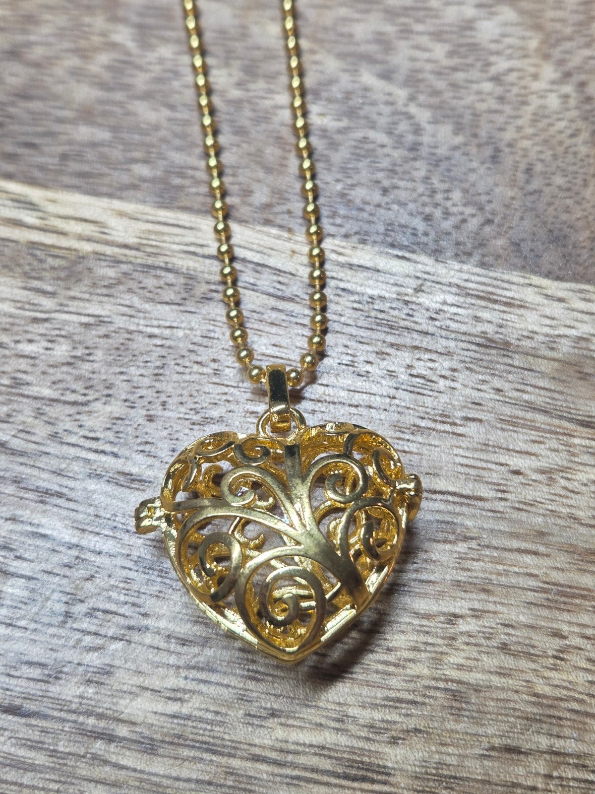 Hart Ketting, kan open, Sieraden, Tassen en Uiterlijk, Kettingen, Overige materialen, Nieuw, Ophalen of Verzenden, Nvt