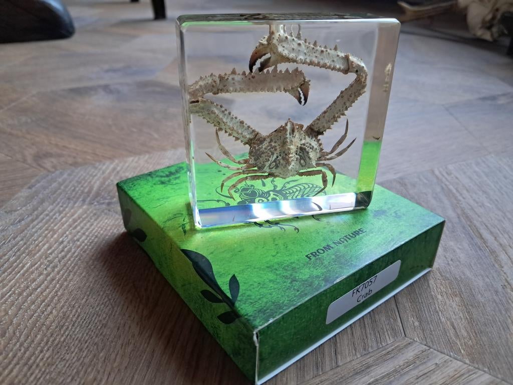 Decoratieve Krab in Hars – Handgemaakt Resin 7,5x7.5cm, Verzamelen, Dierenverzamelingen, Ophalen of Verzenden, Nieuw, Overige soorten