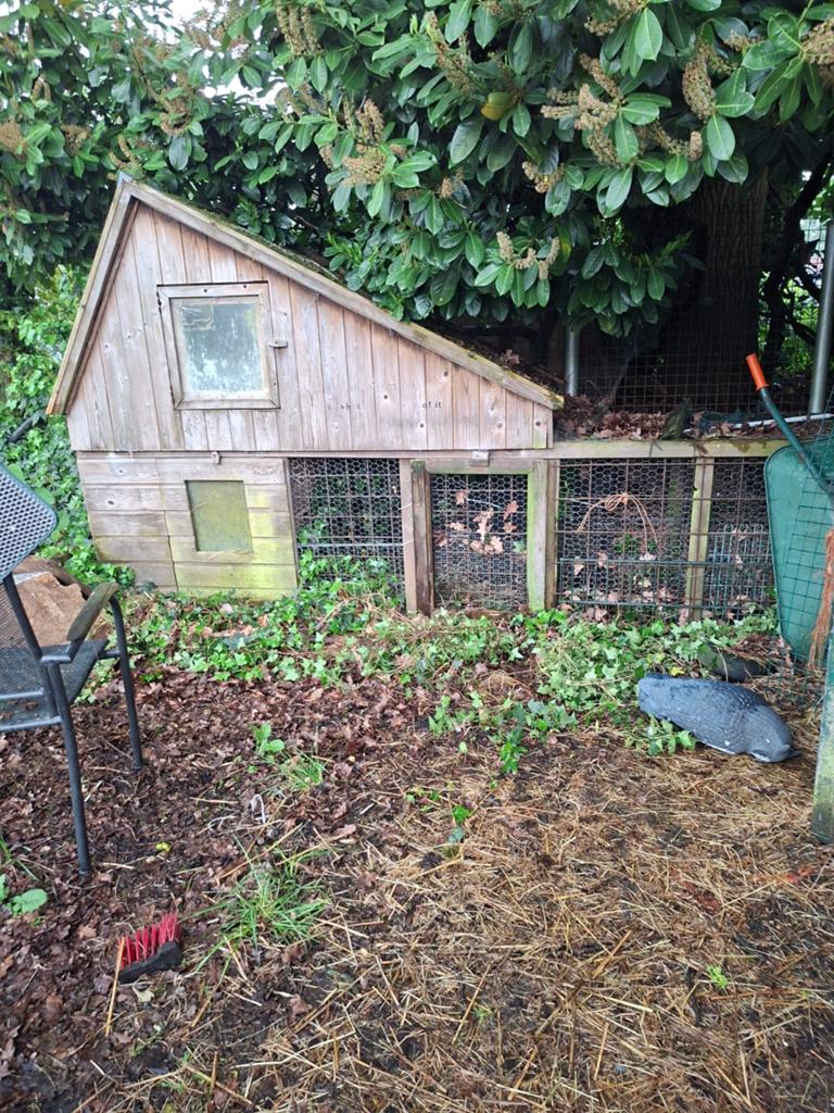 Gratis, Dieren en Toebehoren, Knaagdieren en Konijnen | Hokken en Kooien, Ophalen, 110 cm of meer, Hok, 90 cm of meer