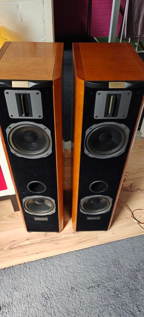 Quadral Shogun luidsprekers - Krachtig geluid, Audio, Tv en Foto, Gebruikt, 120 watt of meer, Front, Rear of Stereo speakers, Ophalen