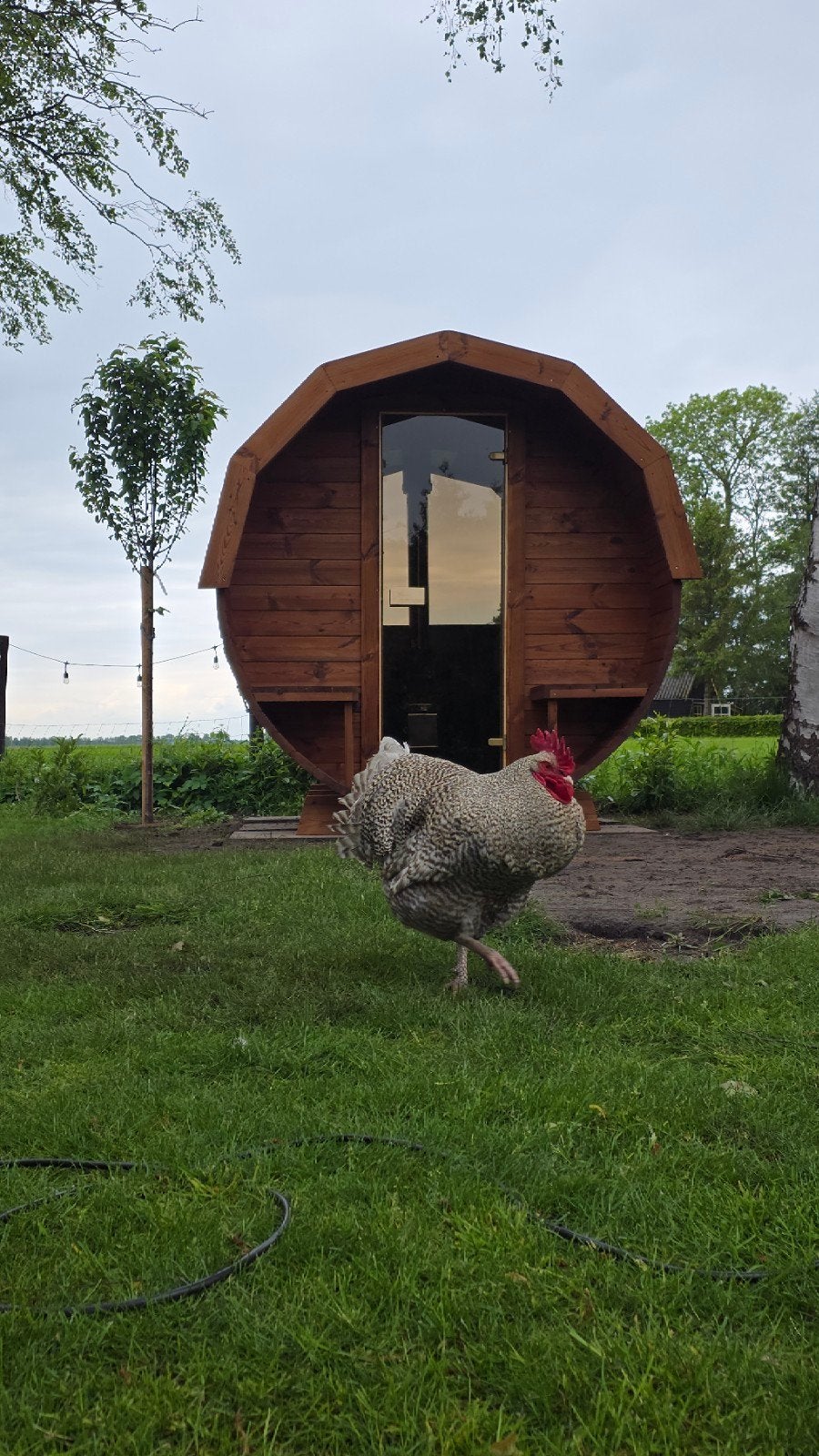 2,5M Barrel Sauna Gratis Levering en Plaatsing - 10% KORTING, Sport en Fitness, Sauna, Ophalen of Verzenden, Nieuw, Complete sauna