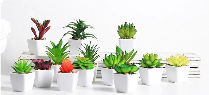 Kunst Vetplant Met Pot Nep Rode Gele Groene Vet Planten, Huis en Inrichting, Woonaccessoires | Kunstplanten en Kunstbloemen, Verzenden