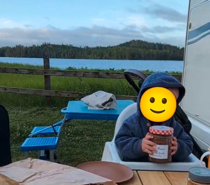 opklapbare picknicktafel retro, Tuin en Terras, Ophalen, Gebruikt, Rechthoekig, Hout