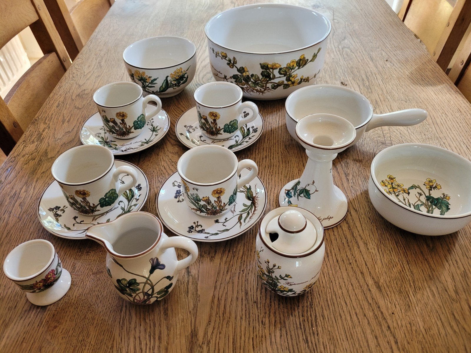 Prachtig Villeroy & Boch Vintage Servies Botanica Prints, Keramiek, Vintage, Ophalen of Verzenden, Zo goed als nieuw