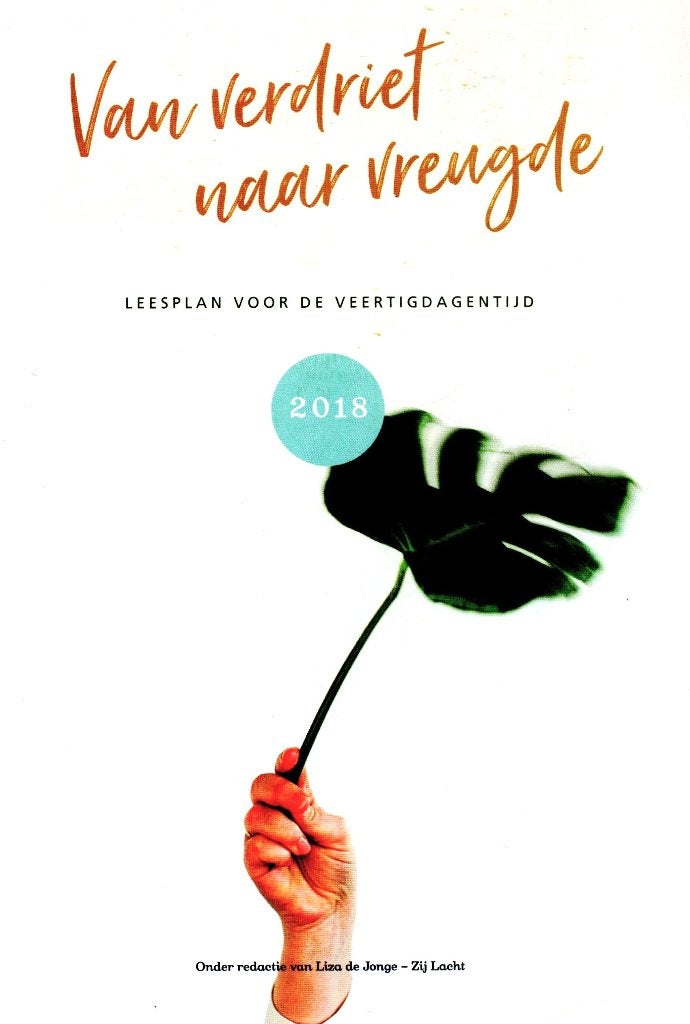 Van Verdriet naar Vreugde - Zij Lacht / 9789491808456, Boeken, Zij Lacht, Ophalen of Verzenden, Zo goed als nieuw, Christendom | Katholiek
