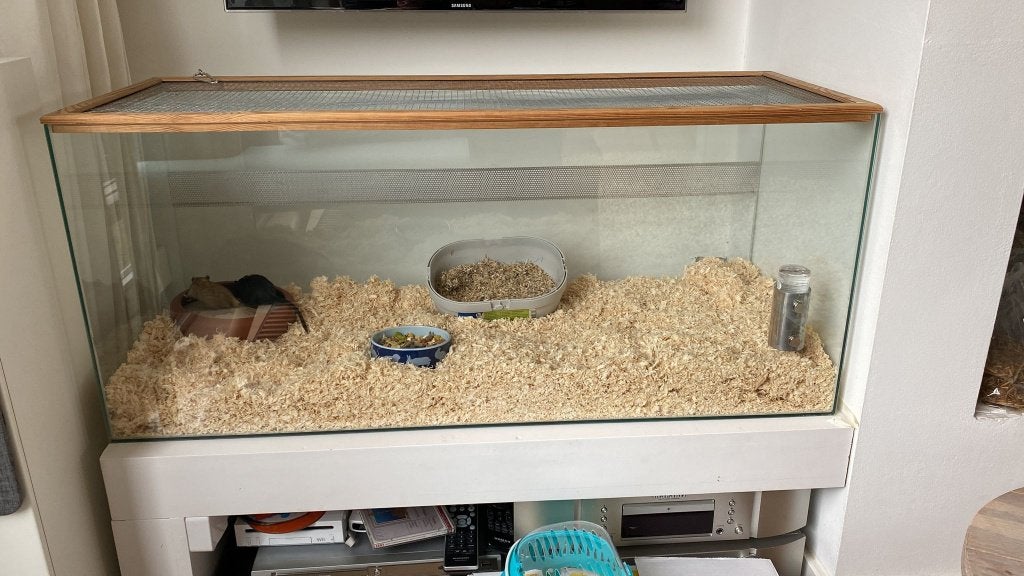Gerbilarium/hamsterkooi met extra's, Dieren en Toebehoren, Knaagdieren en Konijnen | Hokken en Kooien, Kooi, Gebruikt, Muis, 75 tot 110 cm