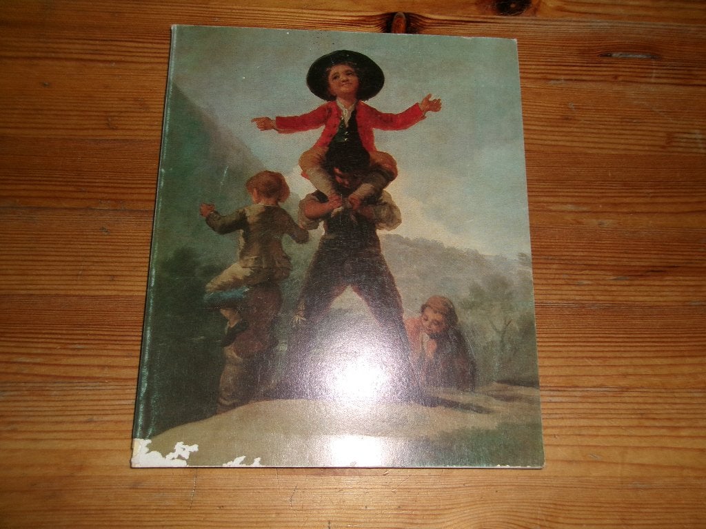 Goya, Ophalen of Verzenden, Gelezen, Schilder- en Tekenkunst