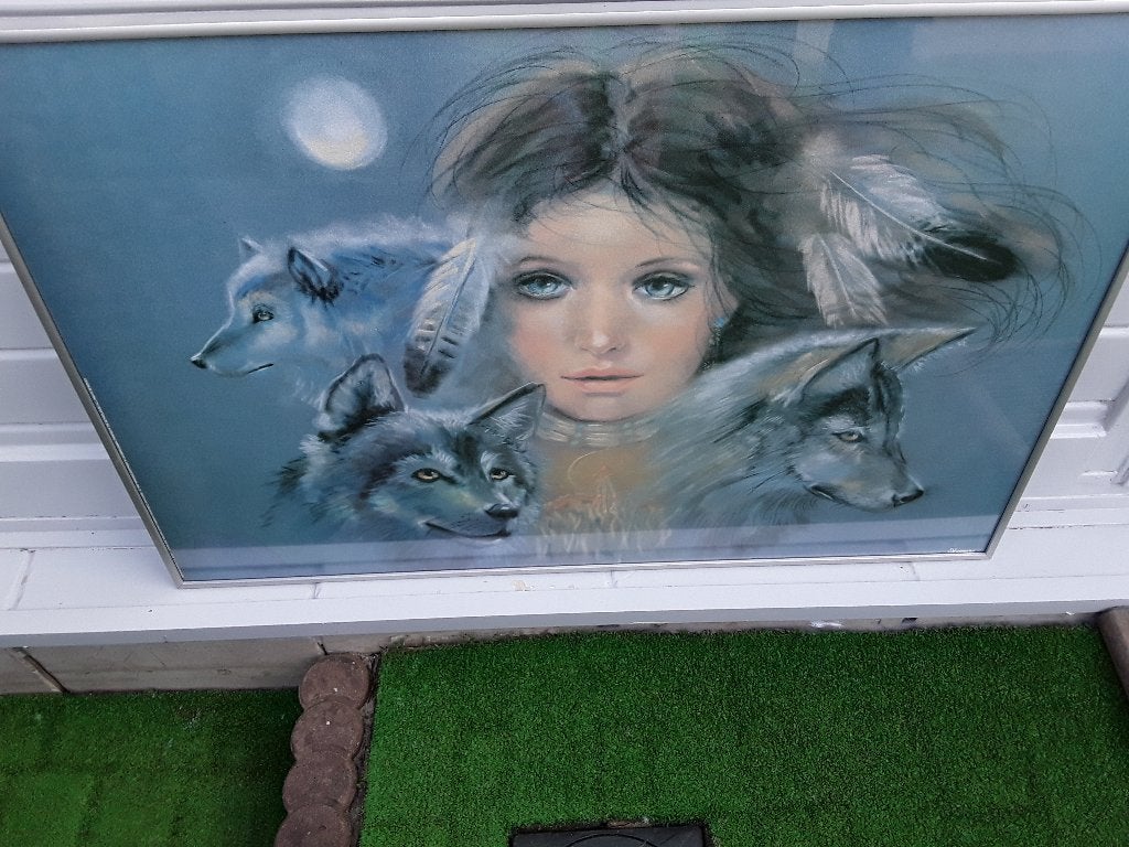 poster in lijst van de wolven vrouw, Ophalen, 50 – 75, Zo goed als nieuw, Schilderij