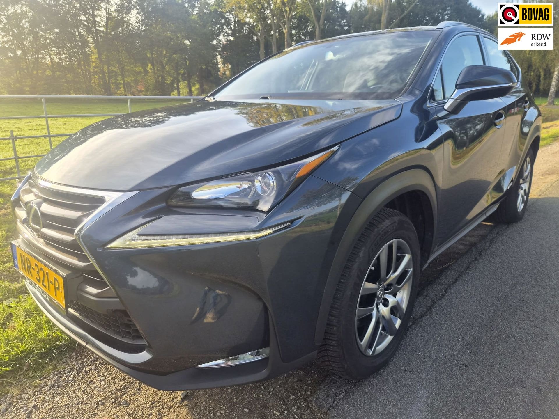 Lexus NX 300h TOPKWALITEIT met trekhaak, Auto's, Automaat, Stof, Gebruikt, Blauw
