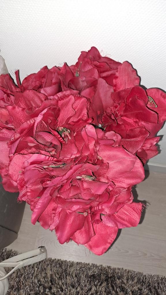 Set van 8 rode kunstbloemen - Amaryllis, Ophalen, Gebruikt, Kunstbloem, Textiel