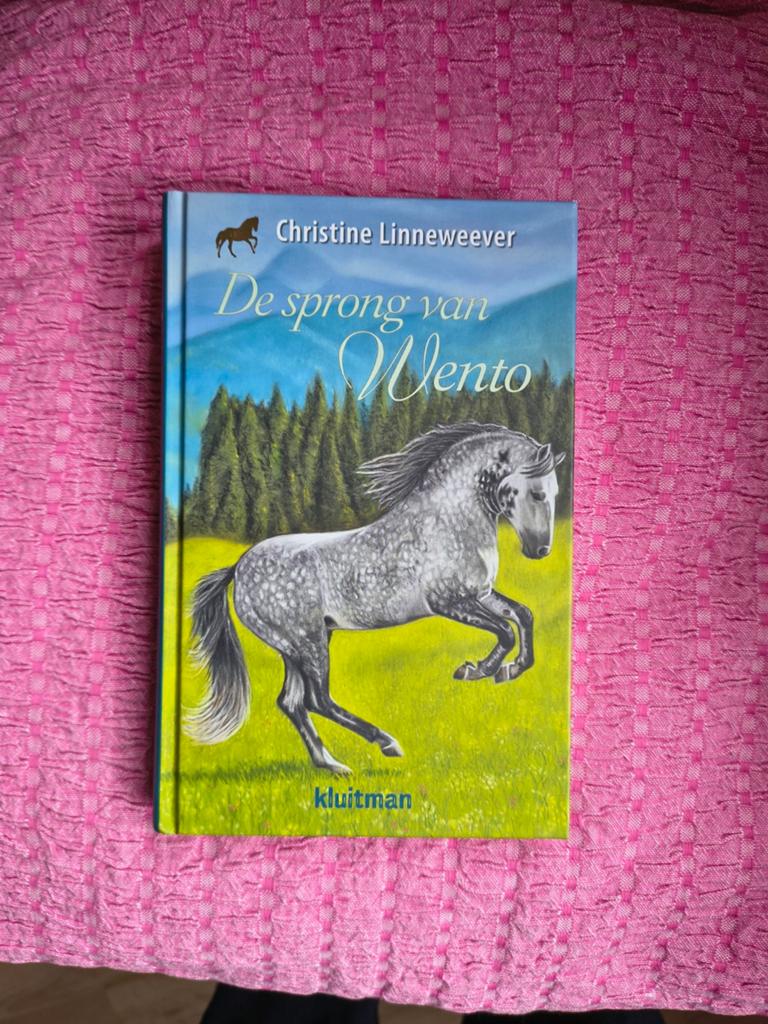 De sprong van Wento boek, Boeken, Sprookjes en Fabels, Ophalen, Zo goed als nieuw
