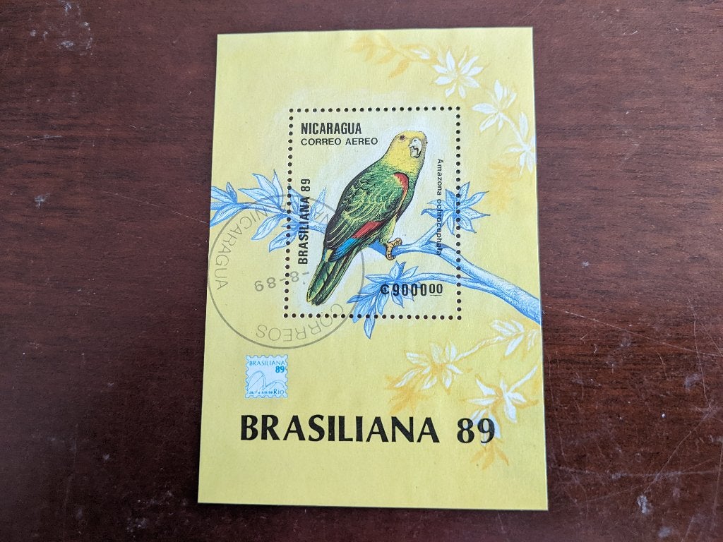 NICARAGUA 1989; BLOK PARKIET LEES, Verzenden, Gestempeld, Dier of Natuur