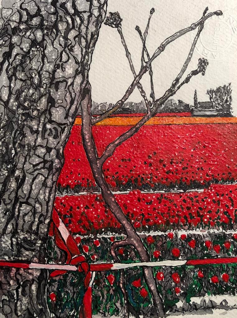 Tulpenveld bij Lisse, Ophalen of Verzenden