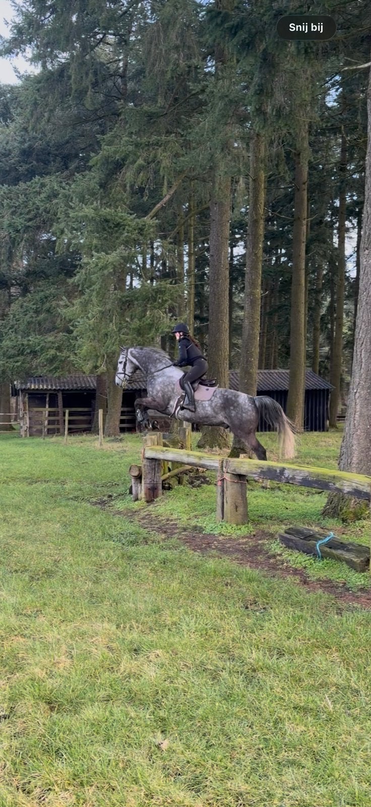 Bijrijder/verzorger gezocht!, Ophalen, Eventing