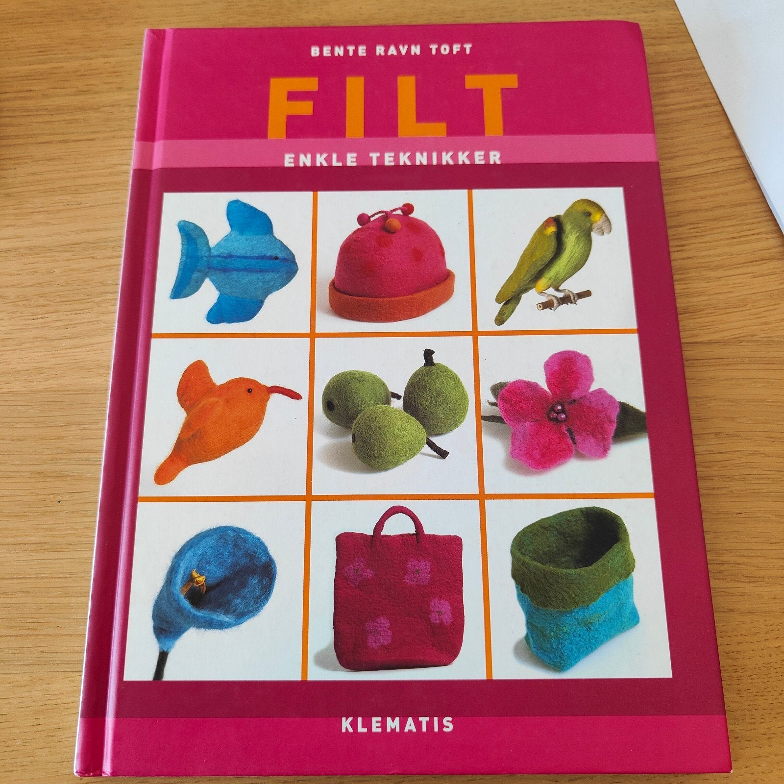 Vilt: Enkle Teknikker - Deens handwerkboek, Ophalen of Verzenden, Nieuw, Overige onderwerpen, Bente Ravn Toft