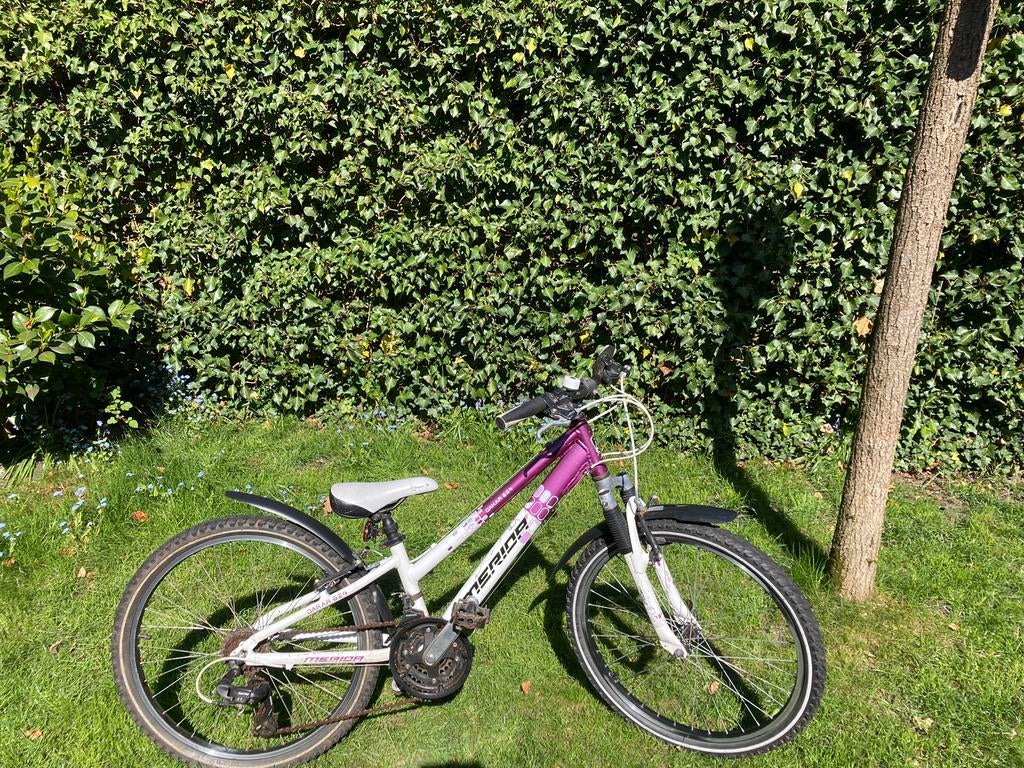 Mountainbike Merida dakar 624, 24 inch, Ophalen, Gebruikt, Staal, 24 inch of meer