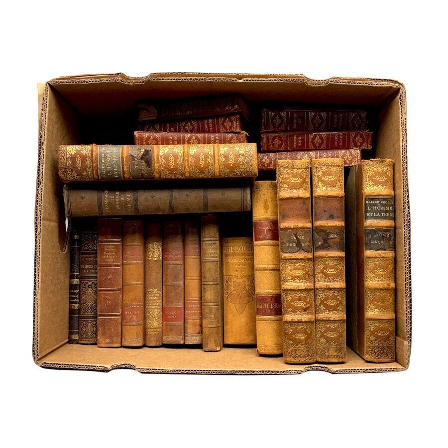Doos antieke boeken, Antiek en Kunst, Antiek | Boeken en Bijbels, Ophalen of Verzenden