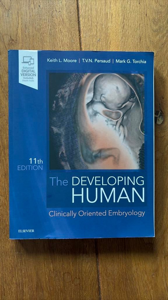 The developing human, Ophalen of Verzenden, Beta, Gelezen, WO