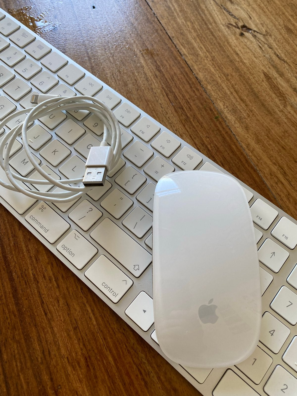 Apple Magic Keyboard en Magic Mouse 2 set, Computers en Software, Toetsenborden, Gebruikt, Draadloos, Qwerty, Apple