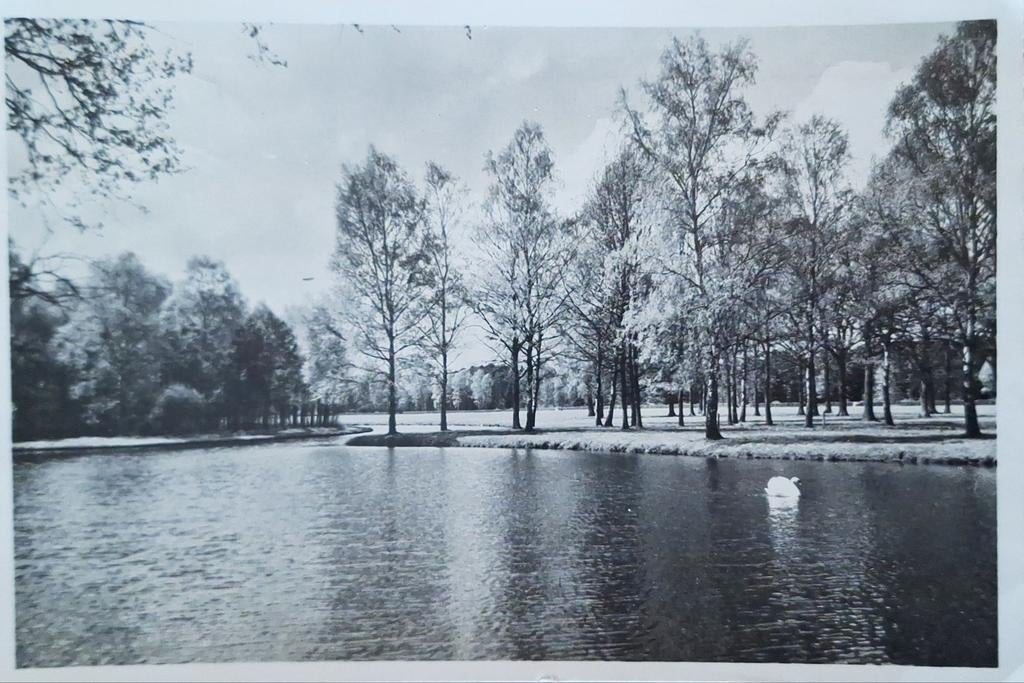 Fotokaart Otterlo - De Hoge Veluwe - Vijver bij St. Hubertus, Ophalen of Verzenden, 1940 tot 1960, Gelopen, Gelderland