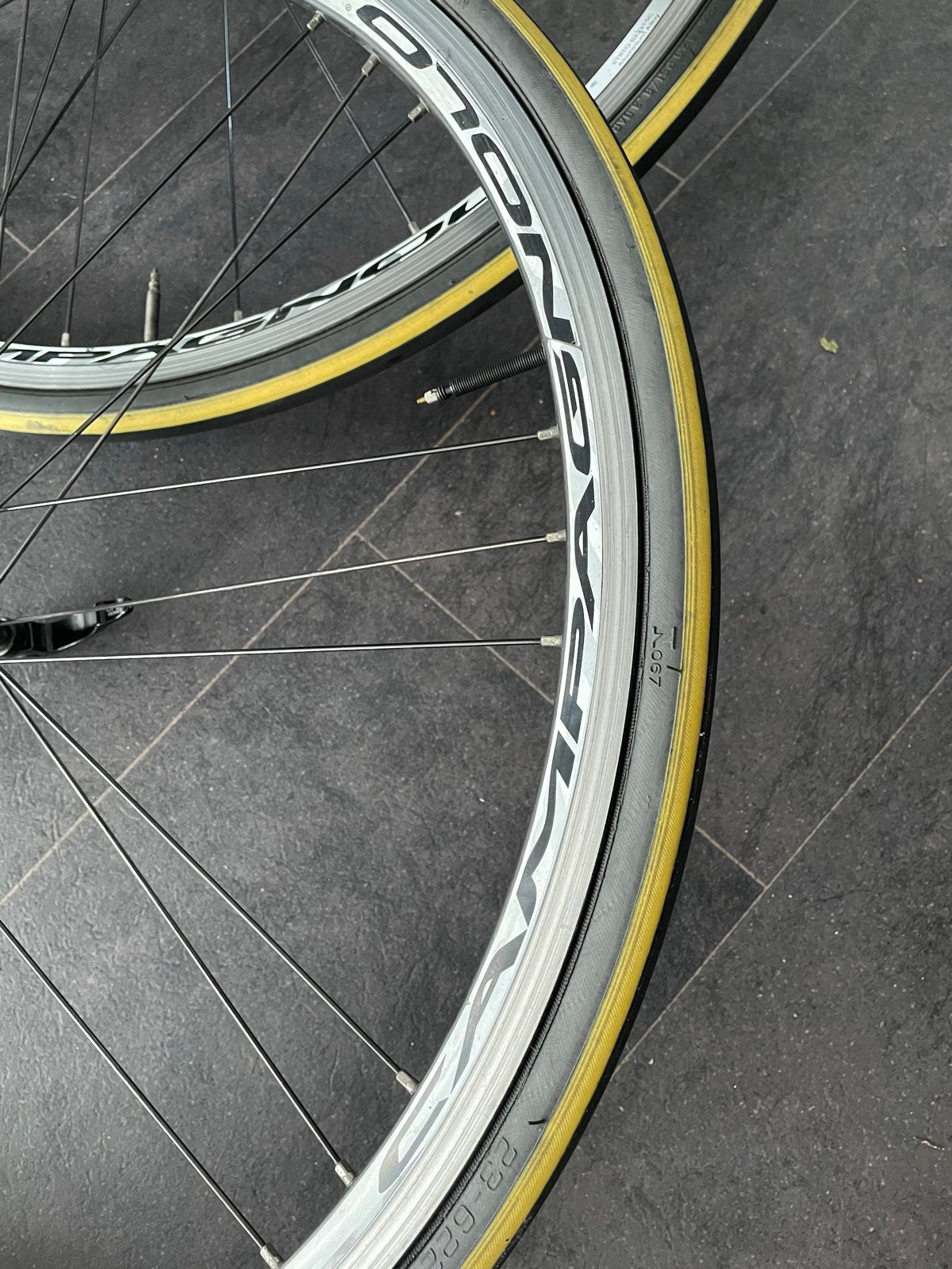 Campagnolo Khamsin racefiets wielen met banden, Gebruikt, Aluminium, Racefiets, Ophalen
