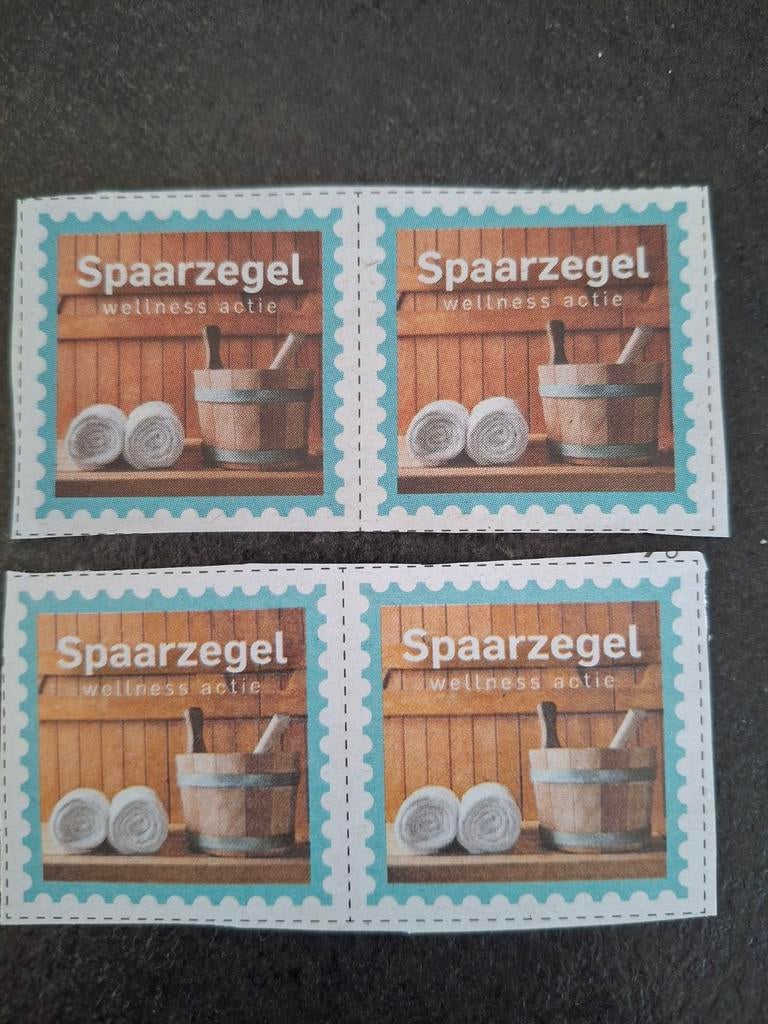Saunazegels