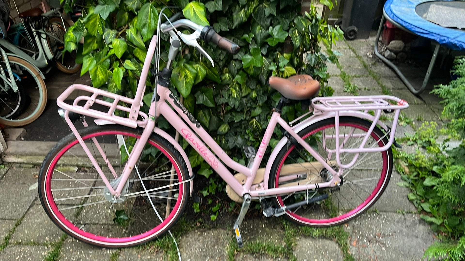 Gazelle misgrace dames fiets, Fietsen en Brommers, Fietsen | Dames | Damesfietsen, Ophalen, Gebruikt, 47 tot 50 cm, Versnellingen