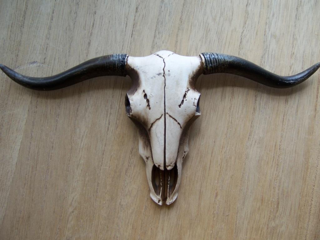SALE skull, Ophalen of Verzenden, Nieuw