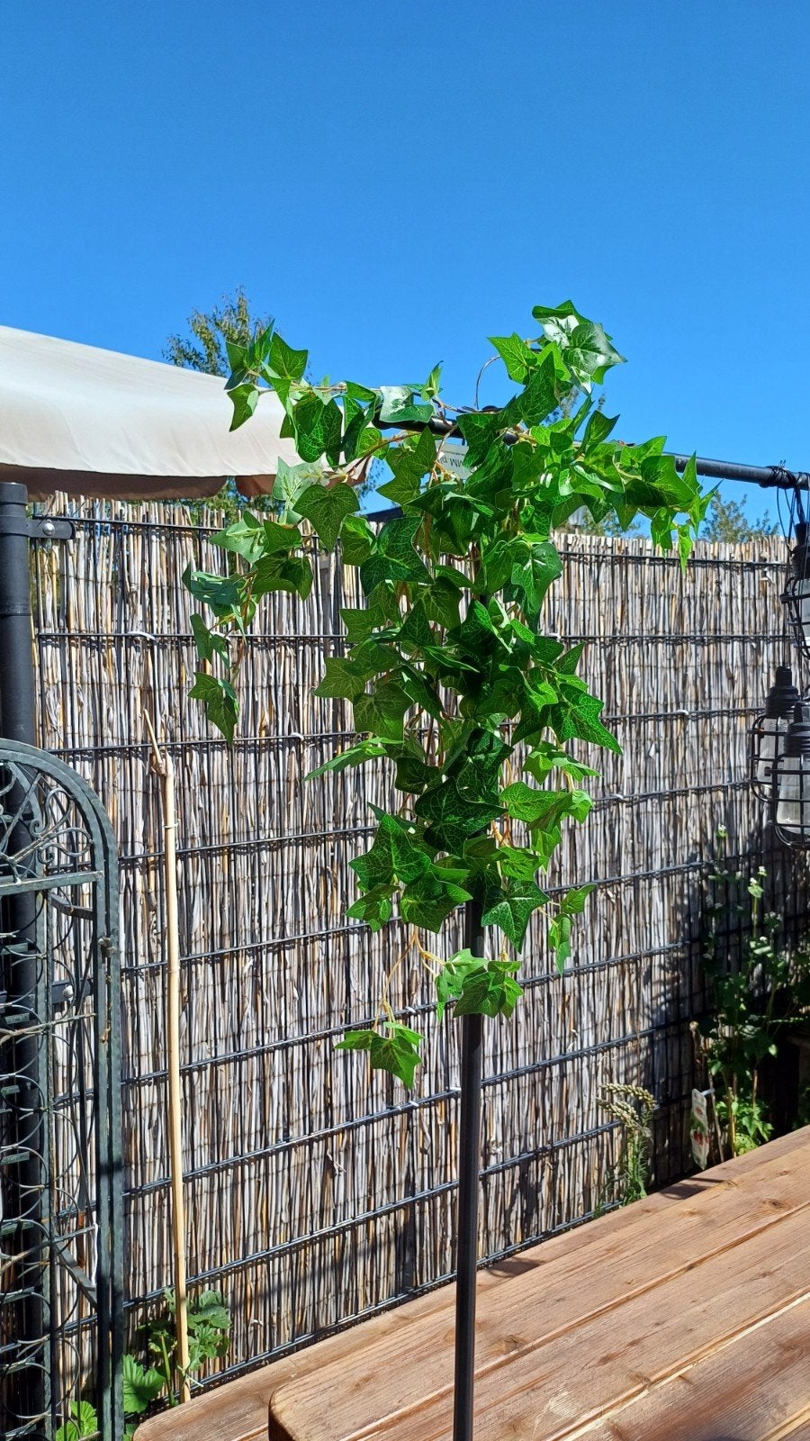 Prachtige kunst Klimop Plant - Ideaal voor Tuin & Balkon, Ophalen of Verzenden, Nieuw