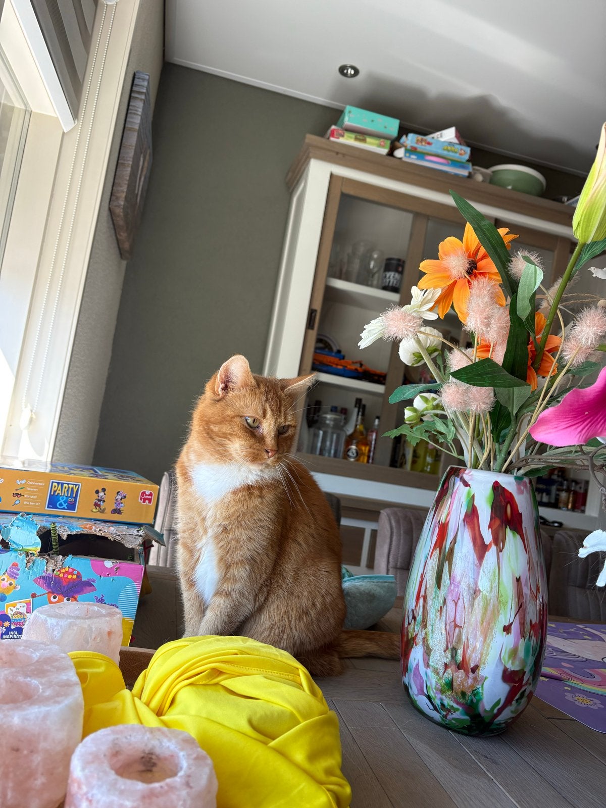 2 lieve broers, Dieren en Toebehoren, Kater