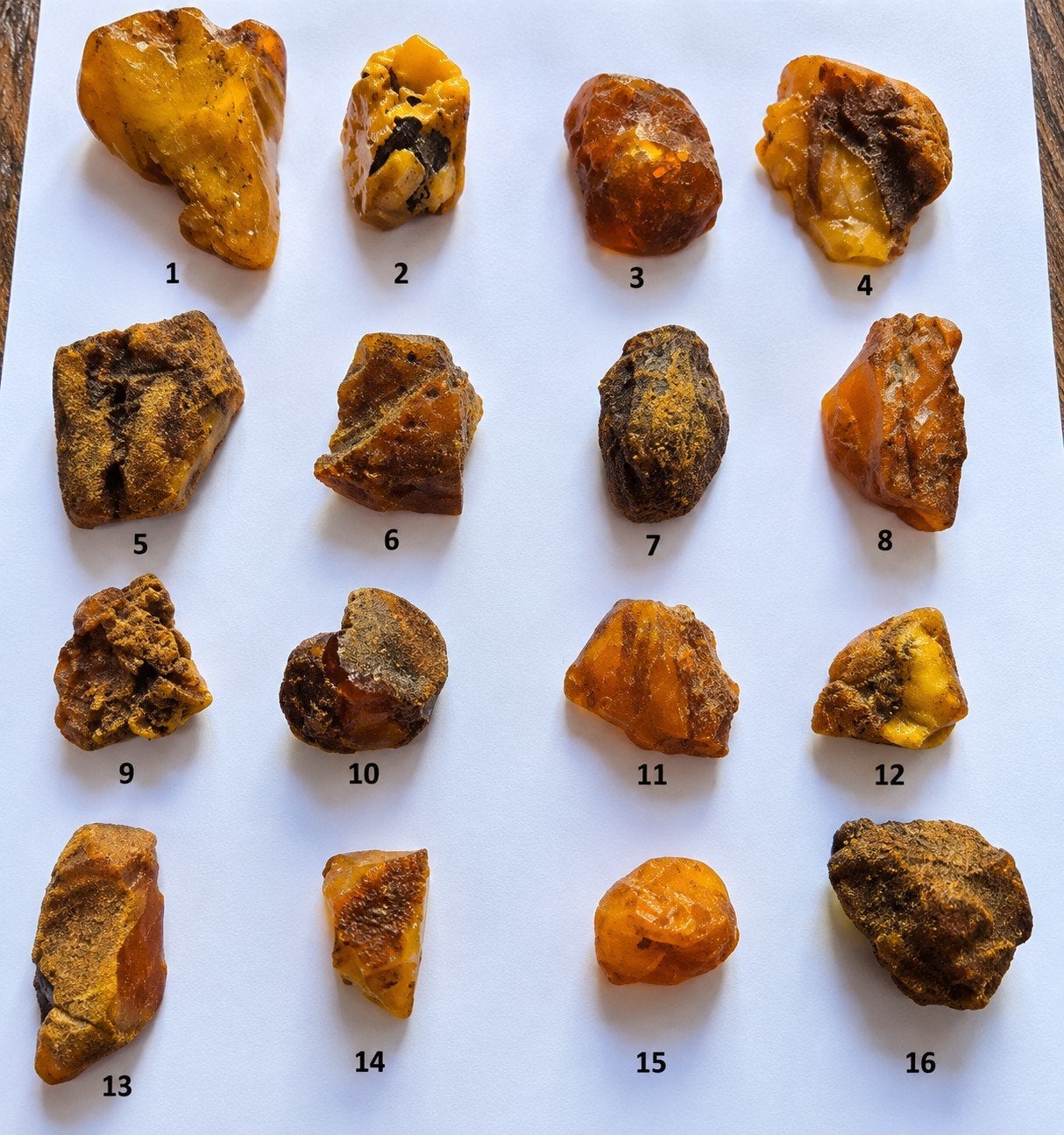 16 Natuurlijke Baltische Barnsteen Stukken - 142,01 gram, Ophalen of Verzenden