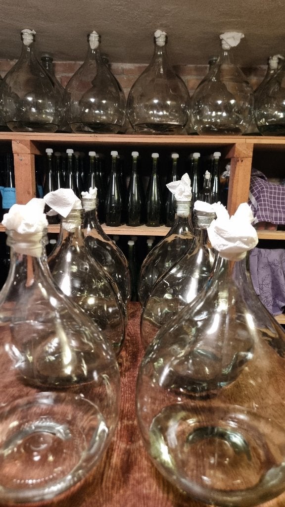 Wijn gist ballon fles 10 liter, Ophalen, Nieuw