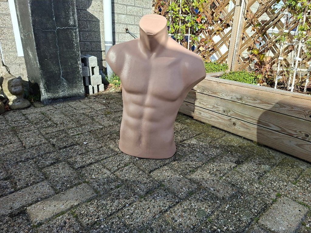 schitterende grote mannen torso boven lijf, Ophalen of Verzenden, Zo goed als nieuw, Mens
