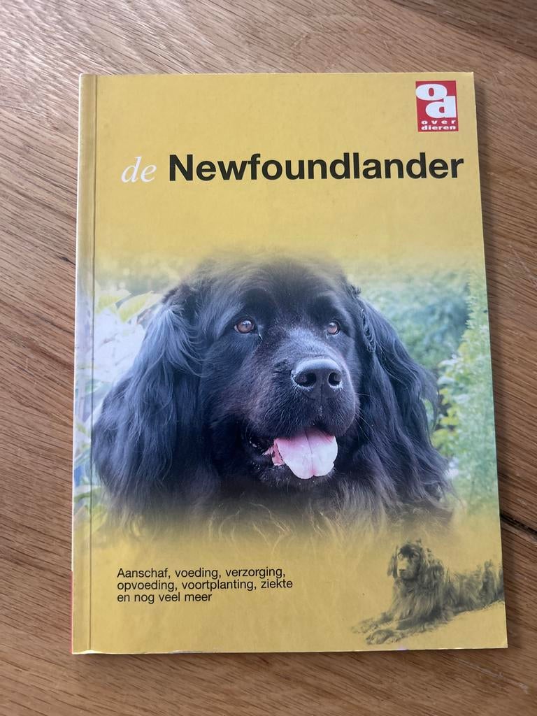 Boek: De Newfoundlander - Aanschaf, verzorging, opvoeding, Boeken, Ophalen of Verzenden, Zo goed als nieuw, Honden