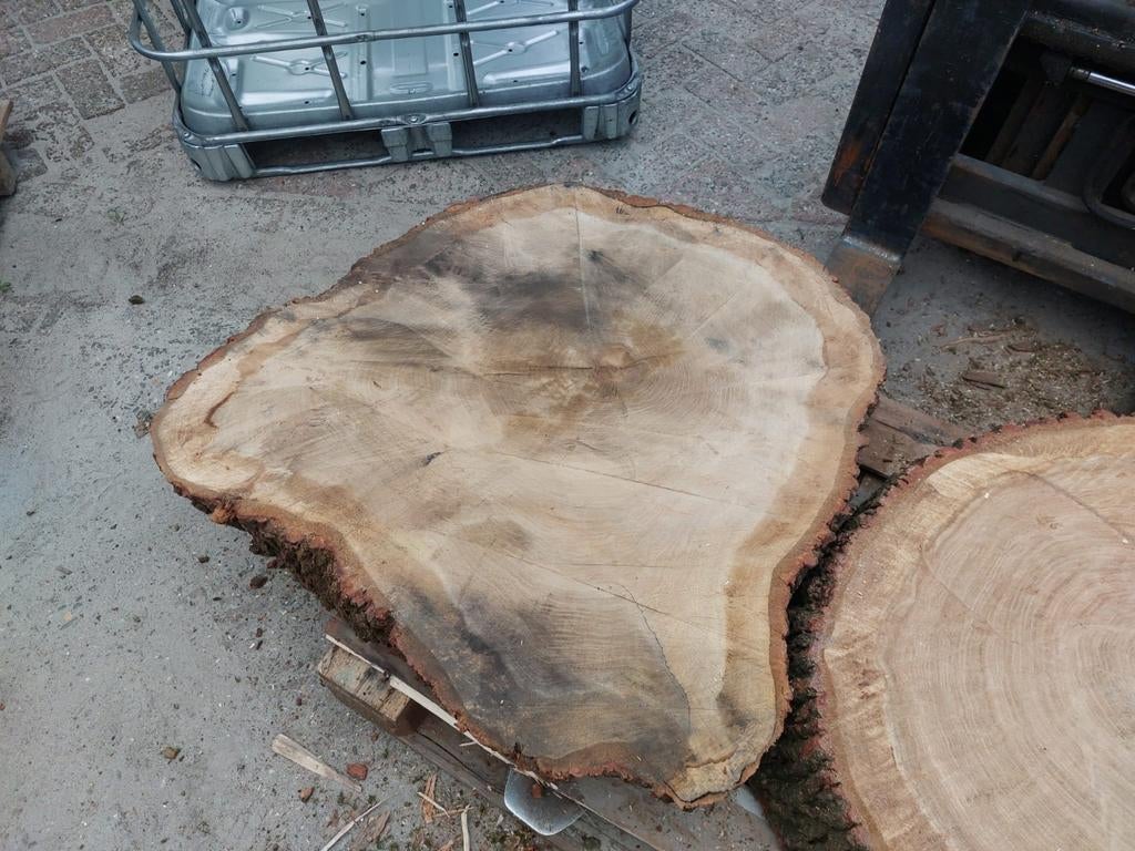 2x schijf eikenhout, Ophalen, Eiken, Overige typen, Nieuw