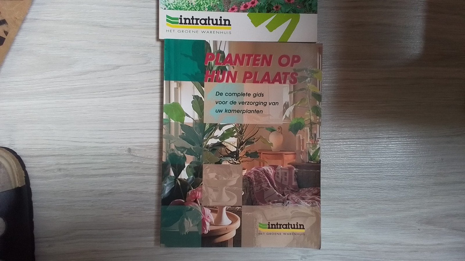 planten boeken, Tuin en Terras, Ophalen of Verzenden, Overige soorten, Volle zon