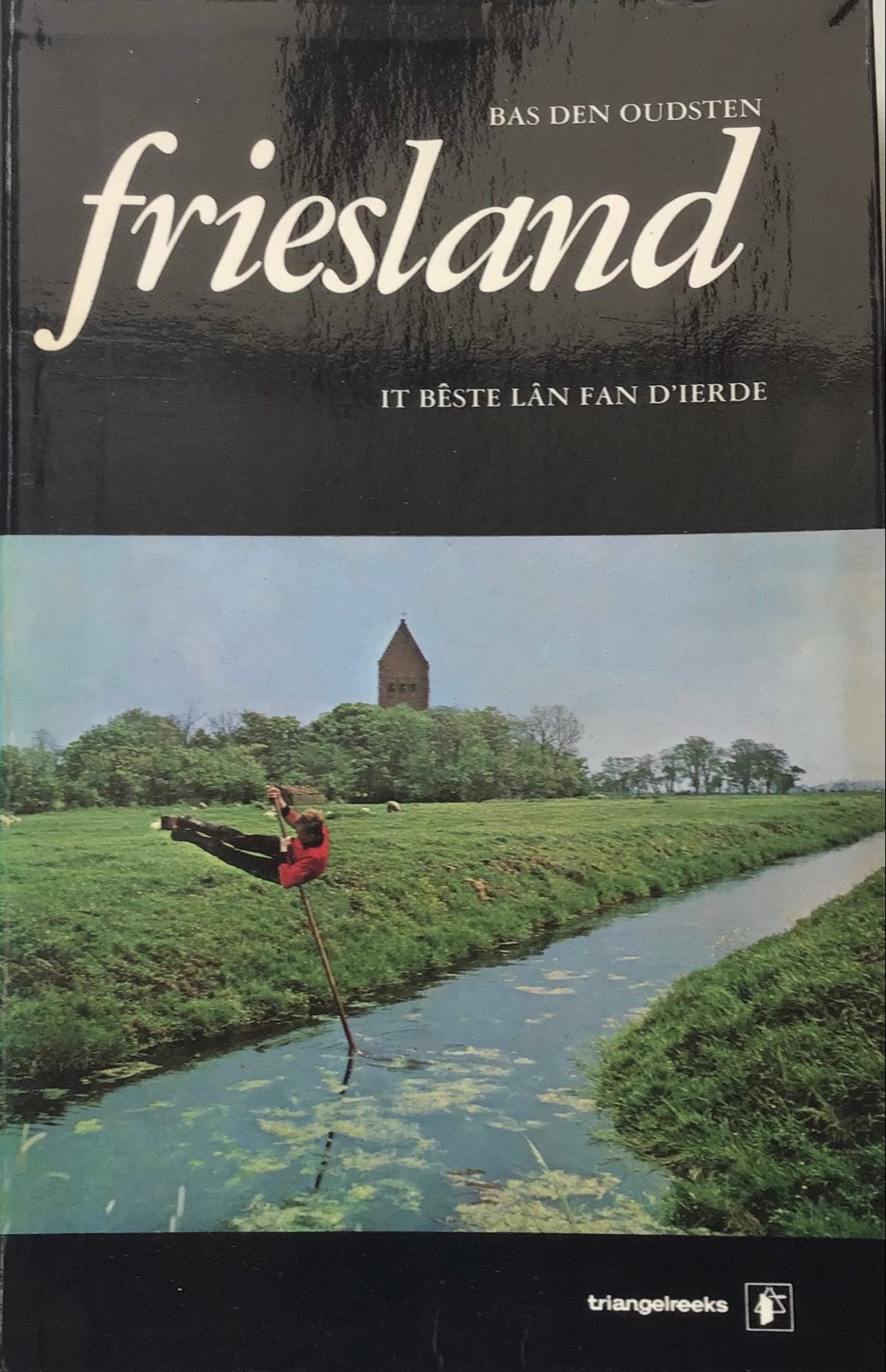Friesland: Het Beste Land van d'Ierde - Bas den Oudsten, Boeken, Reisgidsen, Europa, Ophalen of Verzenden, Reisgids of -boek, Gelezen