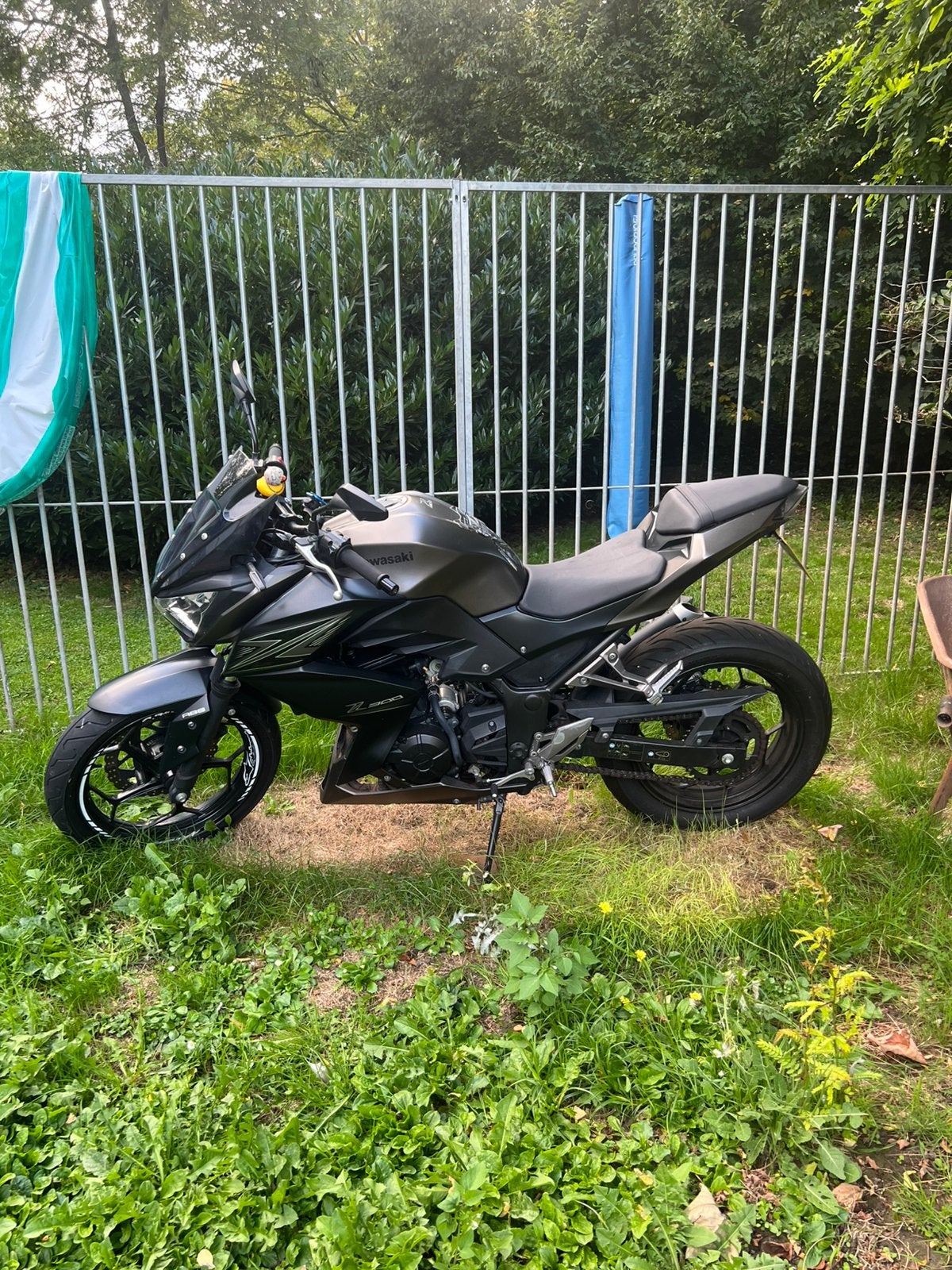 Kawasaki Z300 ABS, Ophalen, Gebruikt
