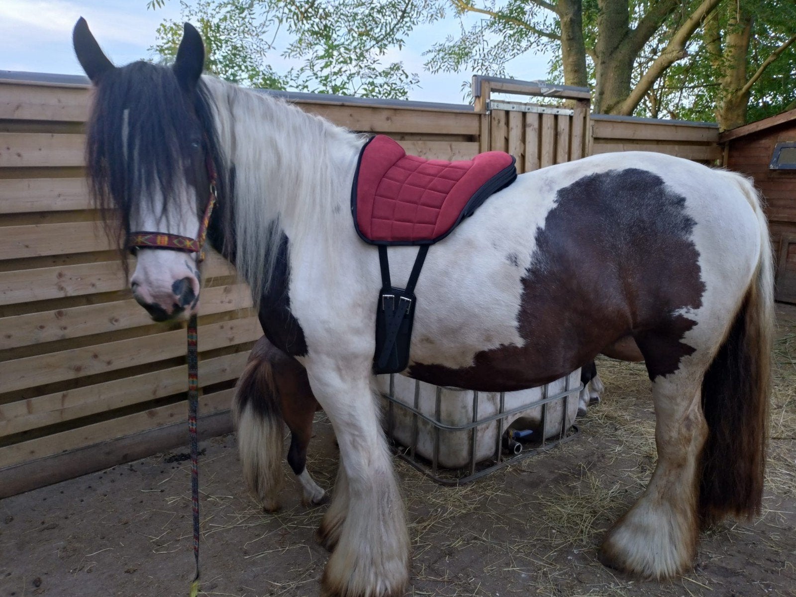 Grandeur reitpad barebackpad