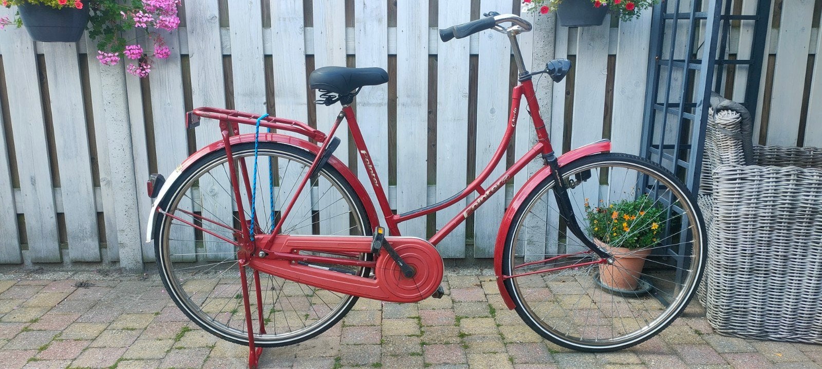 pointer glorie, Terugtraprem, Gebruikt, 56 cm of meer, Ophalen