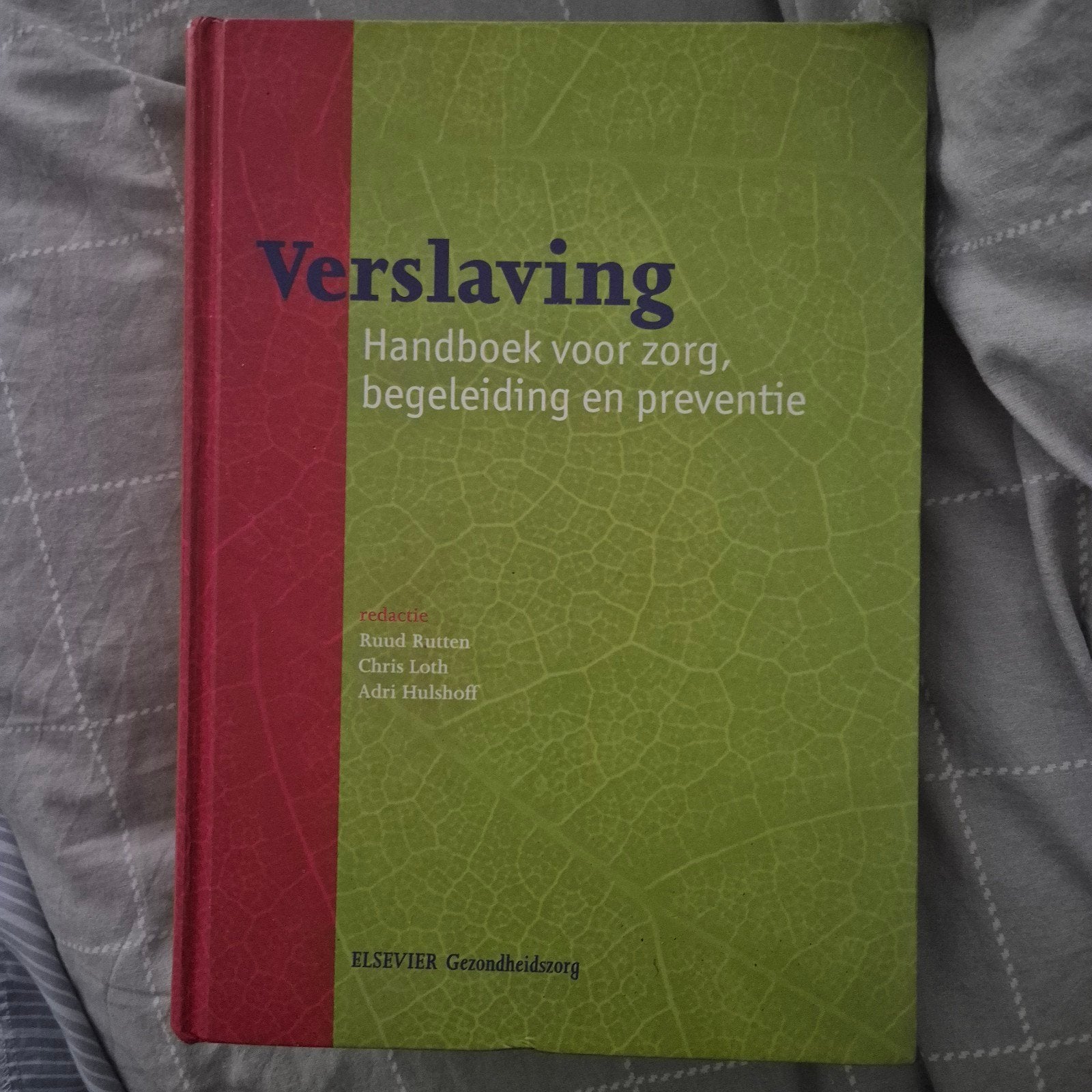 Verslaving: Handboek voor zorg, begeleiding en preventie, Boeken, Gelezen, Ruud Rutten, Chris Loth, Adri Hulshoff, Gamma, HBO
