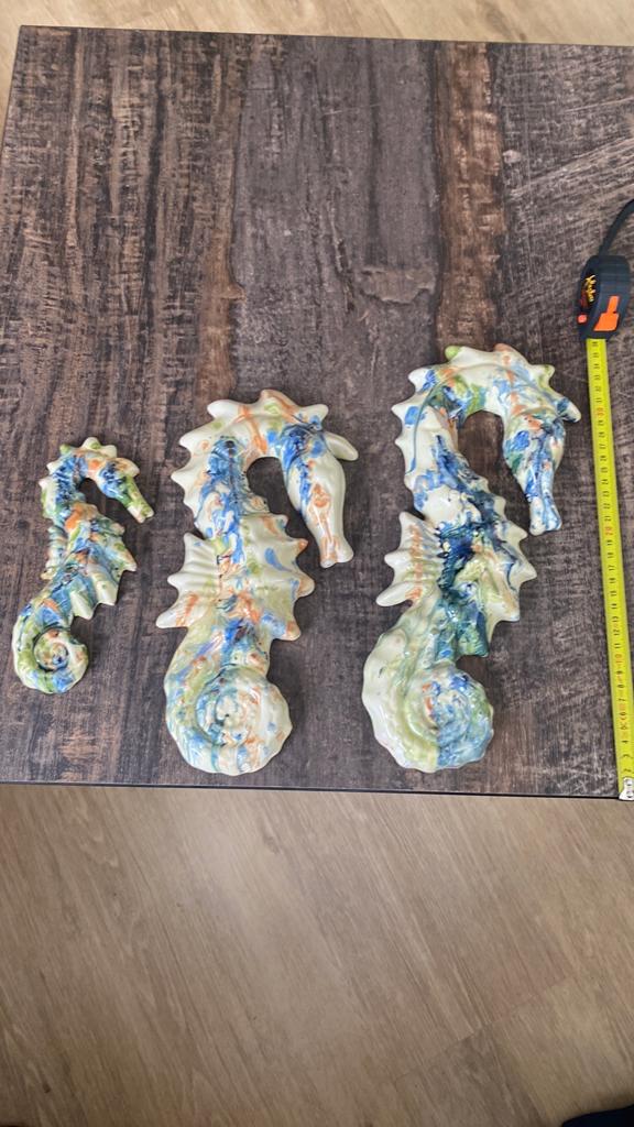 3 zeepaardjes, Ophalen