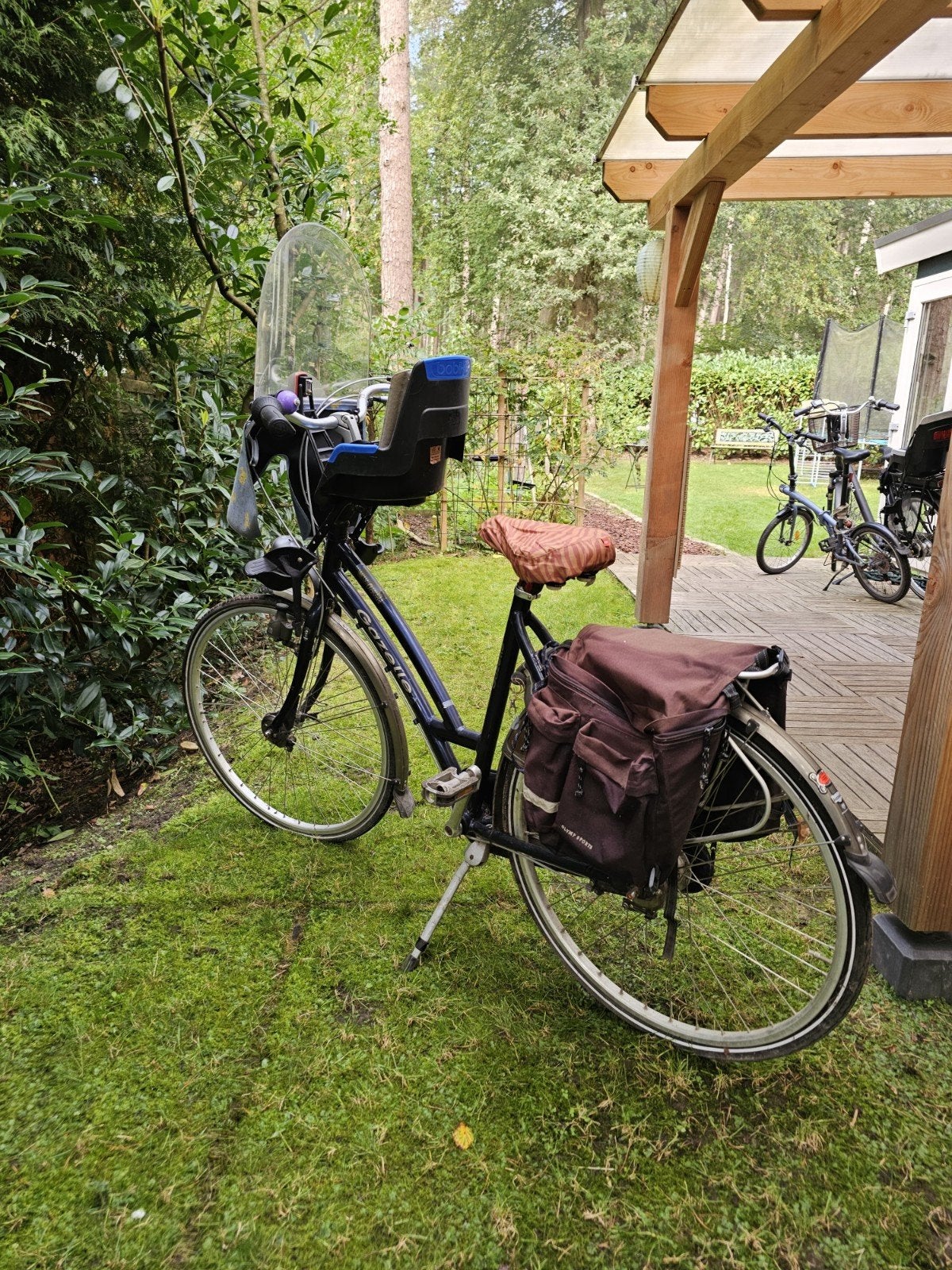 Gazelle Damesfiets met Kinderzitje en Fietstassen, Ophalen, Versnellingen, Schijfrem, Gazelle