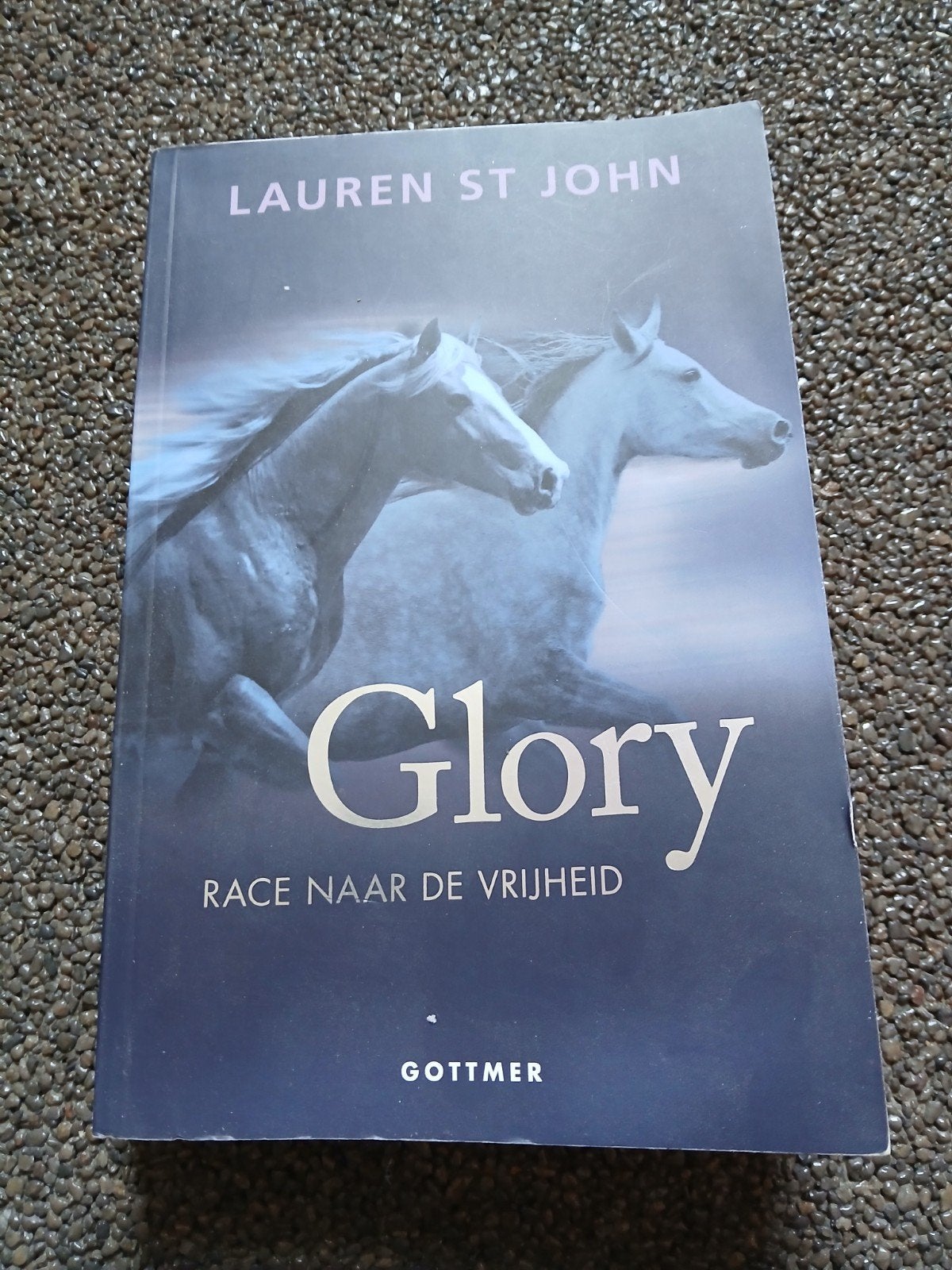 boek glory race naar de vrijheid, Ophalen, Zo goed als nieuw, Overige onderwerpen