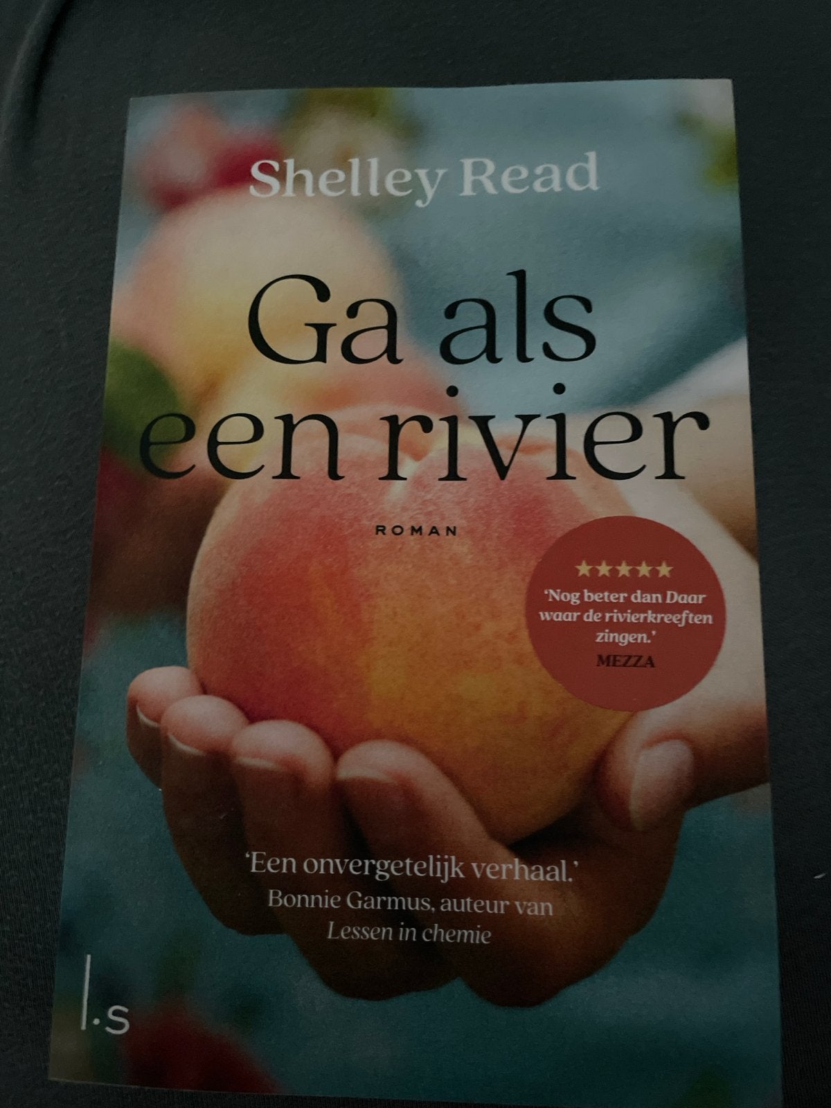 Ga als een rivier - Shelley Read (Roman), Ophalen, Zo goed als nieuw, Nederland