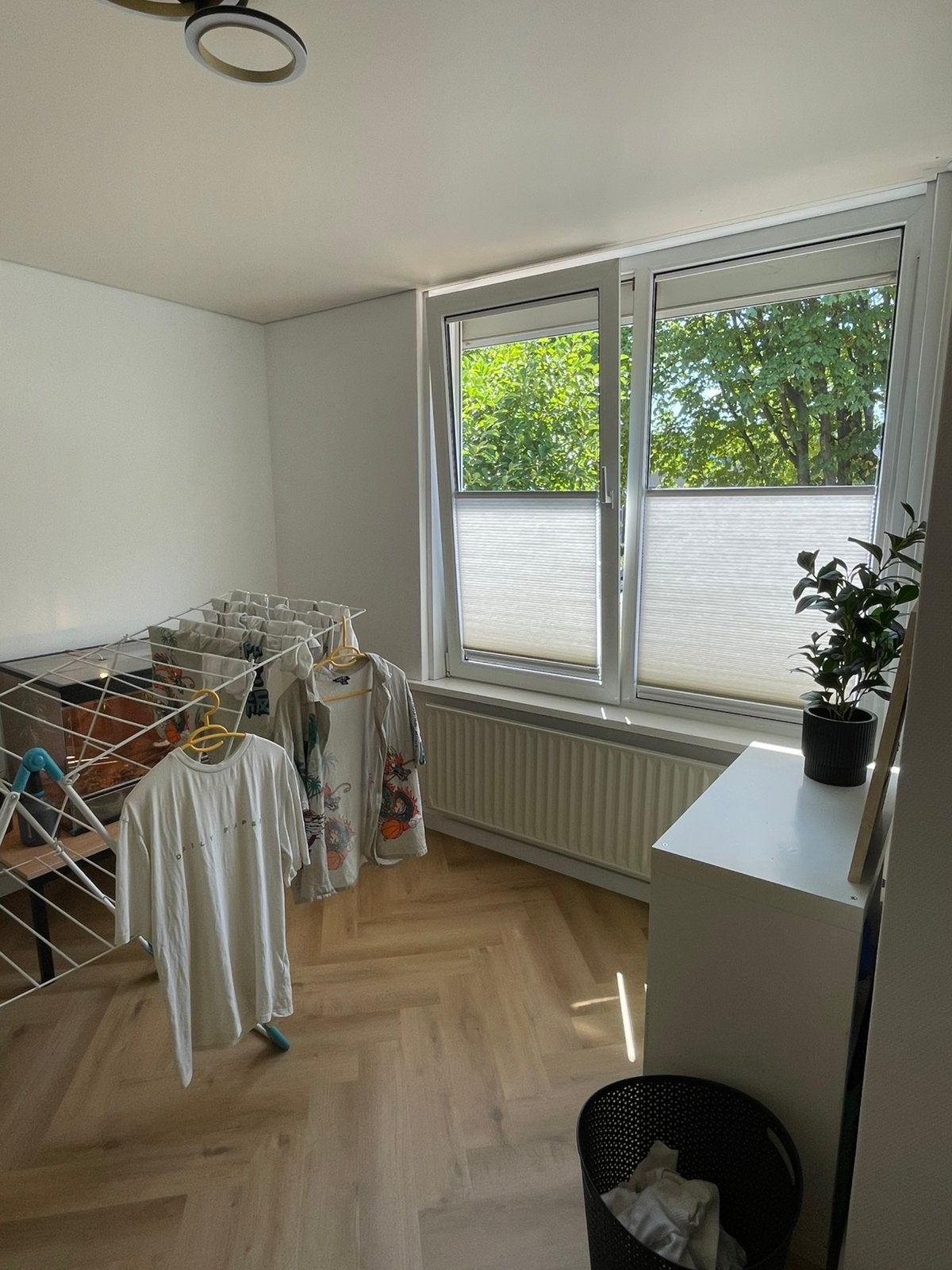 Plissegordijnen (Tuiss), Huis en Inrichting, Overige merken, Beige, Nieuw, Ophalen of Verzenden