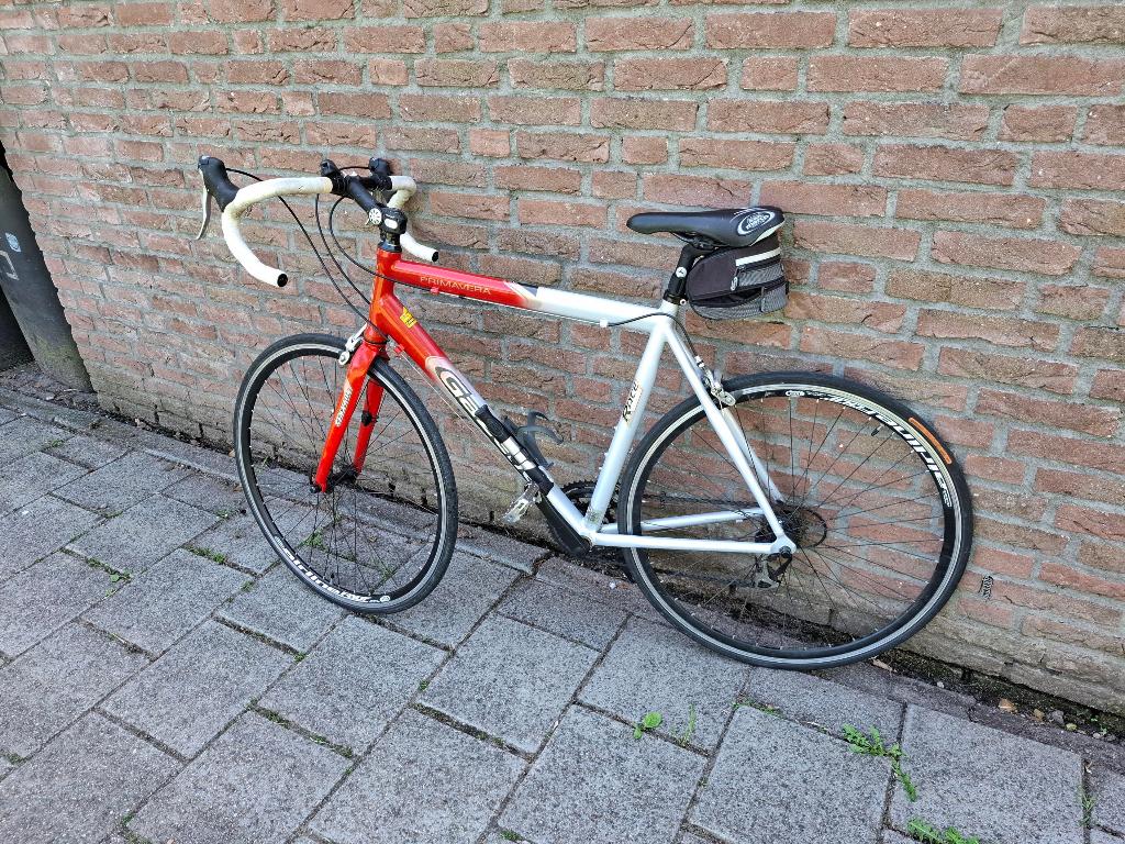 Racefiets Gazelle, Ophalen, Gebruikt, 15 tot 20 versnellingen, Gazelle