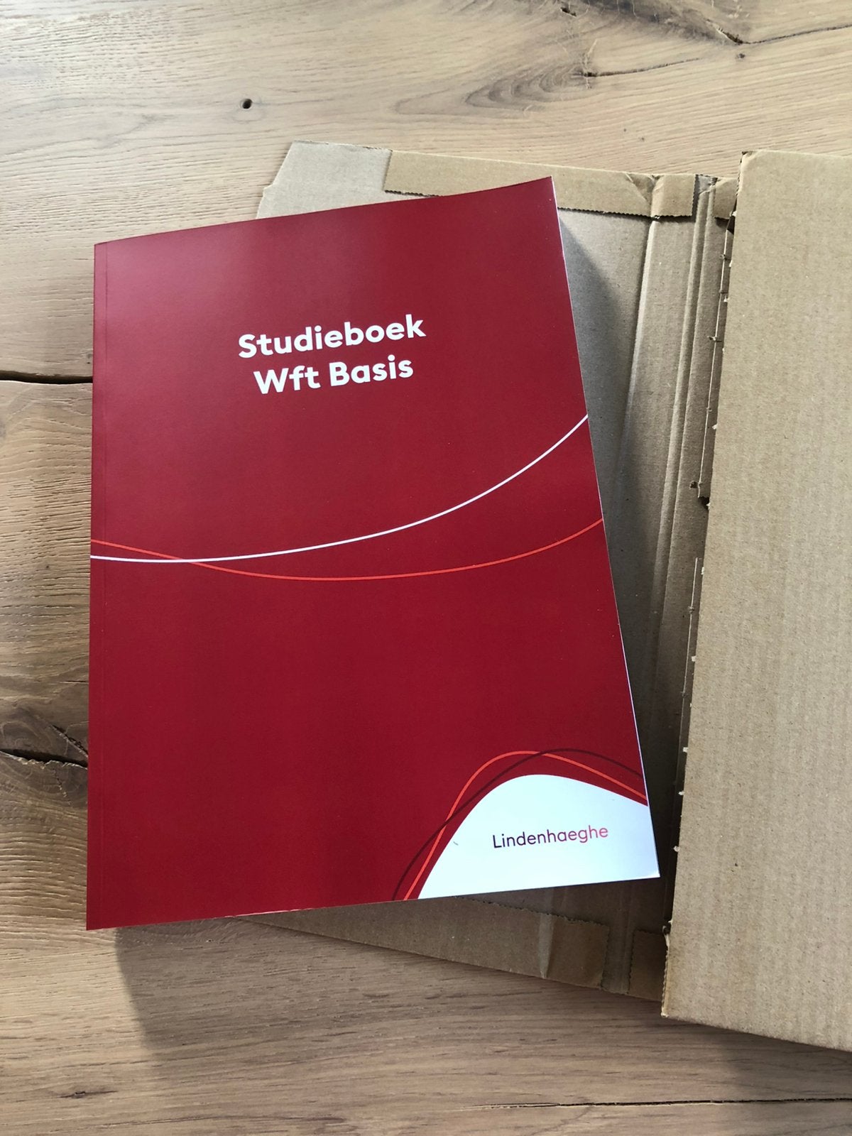 Studieboek Wft Basis Instituut Lindenhaeghe, Verzenden, Nieuw, Instituut Lindenhaeghe, MBO