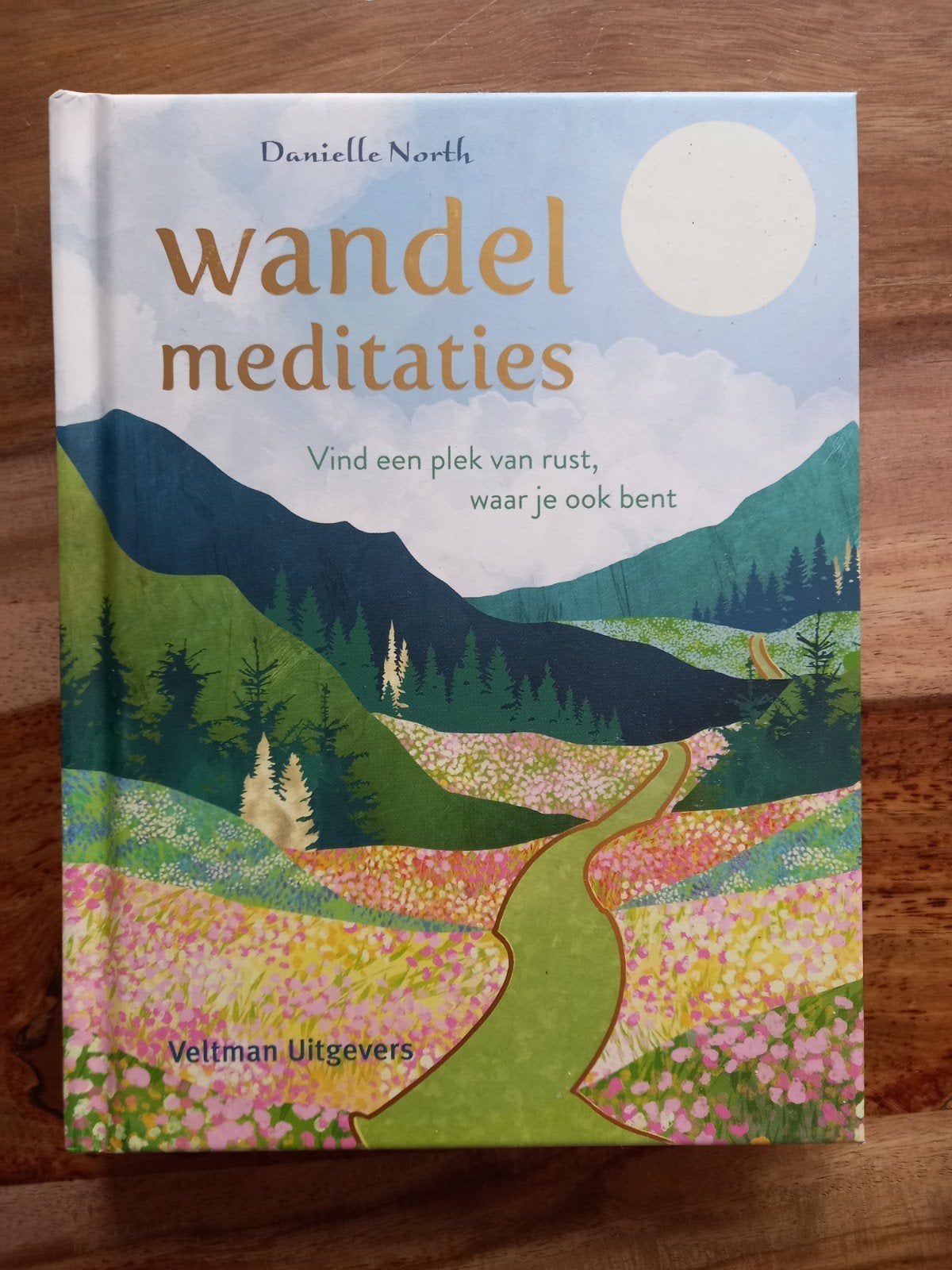 wandelmeditaties Danielle North, Ophalen of Verzenden, Zo goed als nieuw, Spiritualiteit algemeen, Overige typen